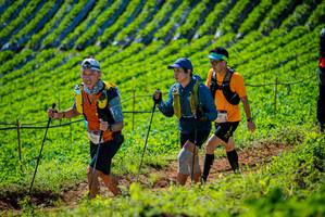 BIB: 
                            <button type="button" onclick="openModal(19161813)" class="btn btn-primary btn-sm float-right btn-popup" data-toggle="modal" data-target=".modal-high-quality">
                        <i class="fas fa-shopping-cart"></i> Add to Cart
                    </button>
                                            <button type="button" onclick="isThisMe(19161813, true)" class="btn btn-success btn-sm float-right btn-popup btn-isme hidden" data-toggle="tooltip" data-placement="bottom" title="นี่คือรูปของคุณใช่ไหม คลิกที่นี่เพื่อเอาเข้าอัลบั้ม">
                        <i class="fas fa-plus"></i> Add to album
                    </button>
                    <button type="button" onclick="isThisMe(19161813, false)" class="btn btn-warning btn-sm float-right btn-popup btn-isnotme hidden">
                        <i class="fas fa-ban"></i> Remove from album
                    </button>